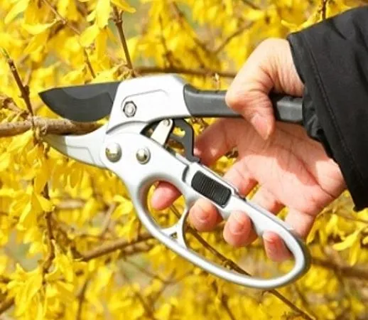 Alati za hortikulturu